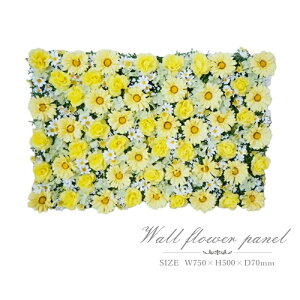 CeAO[@ԁ@G}H@uddG}@tFCNO[@lHϗtA pl@Ǌ|@wi@ԕǁ@K[x EH[t[@      ʐ^f JtF Ԃ̕