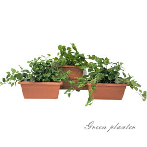 tFCNO[ lHϗtAyO[v^[3_Zbgzy܂Ƃ߂Ăzyԁzʔ\ł@  ϗtA tFCNO[ t[ i` t O[