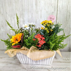 ~bNXO[AW G}H ̓Mtg   Mtg 蕨 a v[g Cxg hV̓ LO j ސEj j  Iׂ郁bZ[WJ