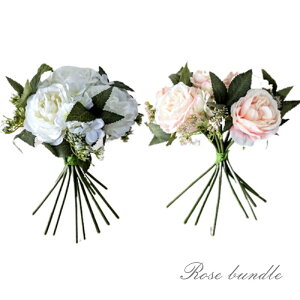 ԁ@X^ŃCOu[P@[Yu[P@u[P@@@2F肨Iт