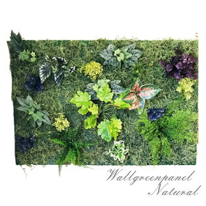 lHϗtAǖʗΉO[plǊ|O[90cmc60cmyʑG}Hϋ͗ʃe[vtłȒPݒu