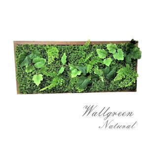 O[plylHϗtAzyǖʗΉzyO[{[hyyO[plzyO[Ǌ|zG}Hς݁@