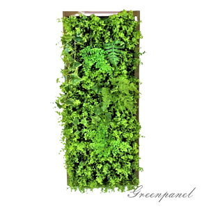 yO[plzyO[Ǌ|zyǖʗΉzyzy_ChG}HizLʁAhJrʁARیʁA@c88cm