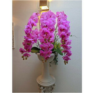 Ӓ  AWg 6{  蕨 a JXj \ hV̓ ̓ Mtg ^Ӓ6{g@G}Hi@