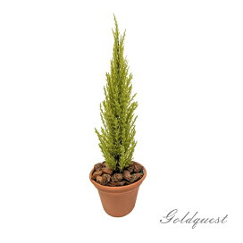 楽天市場】 フェイクグリーン/人工観葉植物 > ゴールドクレスト : 造花 