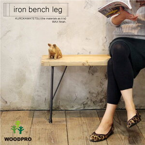 �S�r �A�C�A���x���`�r �iD300�p�j 2�Z�b�g �i����S���b�N�X�d�グ�jDIY �p�[�c �x���` �A�C�A�� �_�C�j���O�x���` ���Y ������� �r �I�[�_�[ �V���v�� �֎q �����C�N iron �n���h���C�h ��