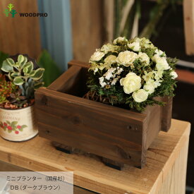 楽天市場 ミニプランターの通販