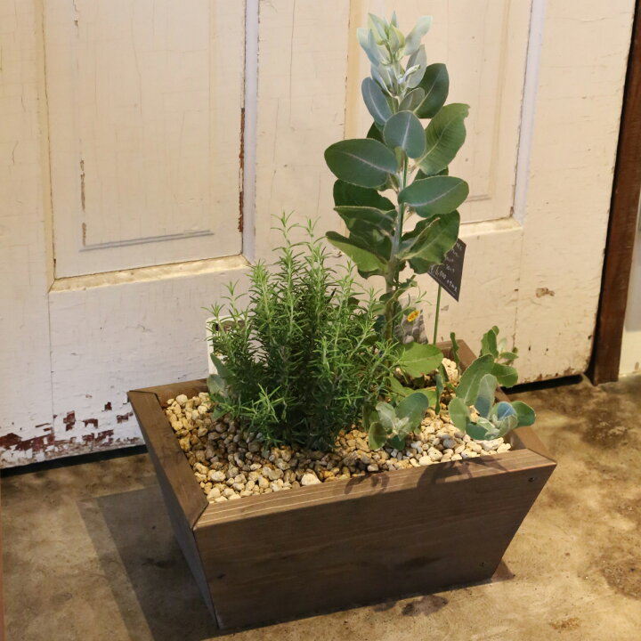 楽天市場】寄せ植えプランター（深底）長方形幅40cm×奥行26cm×高さ18cm 