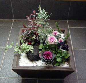 񂹐Av^[i[jXLTCY 40cm×s40cm×18cmA ϗtA ƒ؉ |pi     K[fjO Jo[ Ebhv^[ {