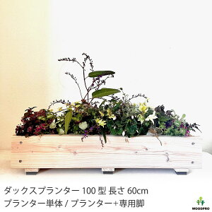 ダックス プランター 100型 長さ600mmプランター単体/プランター+専用脚セット木製 国産 日本製 スリムプランター ロングプランター ポット苗 寄せ植え 60cm×14cm×高さ12cm