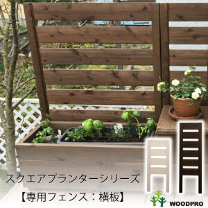 IvVp[cXNGAv^[V[YyptFXFz[󒍐Y]