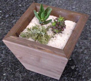 񂹐Av^[i[jXSTCY21cm×s21cm×18cmA ϗtA ƒ؉ |pi     K[fjO Jo[ Ebhv^[ {