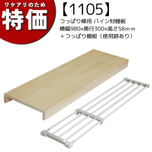 yAEgbg1105zς_p pCޒI@980mm×s300mm×58mm{ςIiʐ^Bepji