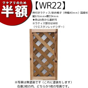 yAEgbgWR22zgteBX/΂ߊiqig40mmjY@c616mm×334mmF6FIeBX͕ĐiEGX^bhV_[j