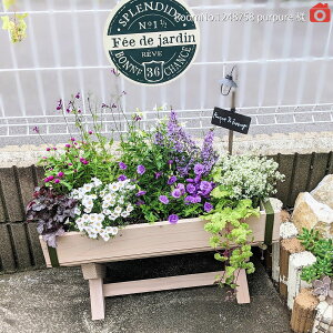 Xrt v^[@60cm×s23.7cm×32.3cm@Y ؐv^[  v^[{bNX |  v^[Jo[  K[fjO ` Y