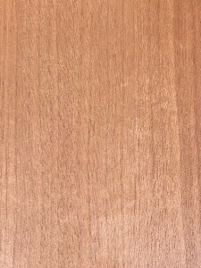 FArijSe[vtKiF0.5mm×20mmx10M@VRؖ،Ebhe[v