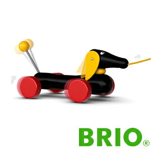 BRIO(ブリオ)社プルトーイダッチー