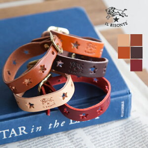 yK̔Xz[5422300297]IL BISONTE(Cr]e) ^U[oO/uXbg