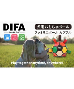 [df61003] DIFA(fBt@) / t@~G{[ Jt LTCYybsOΏۊOz