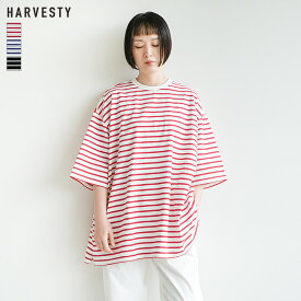[A52205]HARVESTY(ハーベスティ) JUMBO TEE STRIPES/ボーダーTシャツ