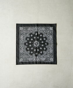 [15702300]HAV-A-HANK(nonN)PAISLEY BANDANNA yCY[ o_i USA AJ Rbg ȁy[֑Ήz
