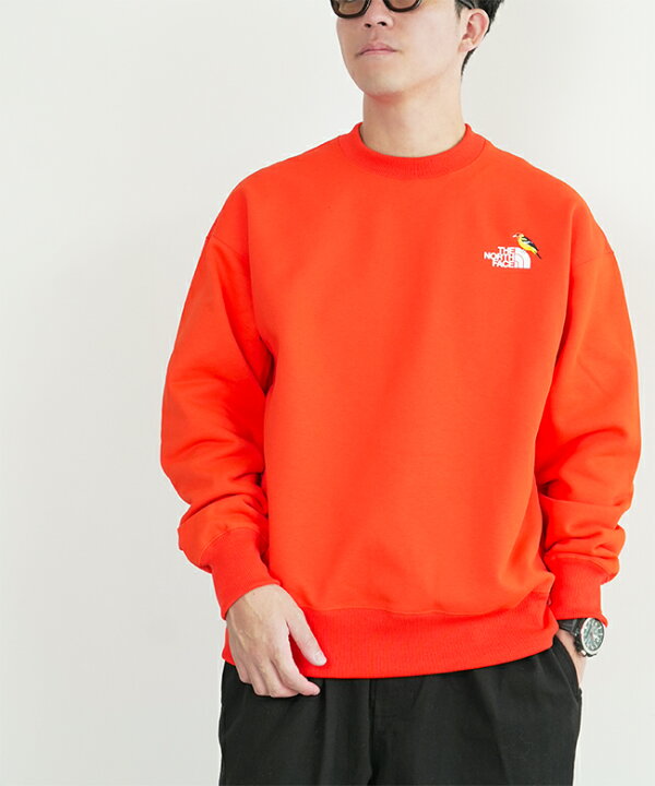 楽天市場】【SALE 30%OFF】[NT62434]THE NORTH FACE(ザ・ノース 