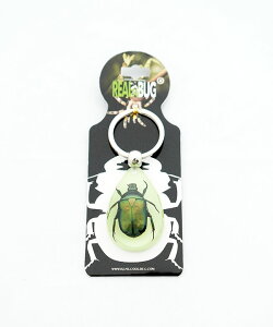 REAL BUG(���A���o�O) GOLDEN SCORPION / STAG BEETLE / CHAFER BEETLE TEAR DROP KEY CHAIN GLOW IN THE DARK �����W�{�L�[�z���_�[ �~�� [YK603/04/06/08/10]
