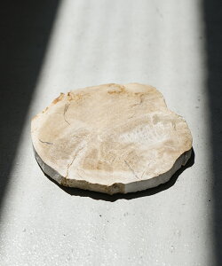 [0764]amabro(A}u) WOOD COASTER EbhR[X^[ ؐ VRf ygt@ChEbh