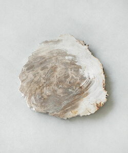 [1697]amabro(A}u) WOOD PLATE 20 Ebhv[g ؐ VRf
