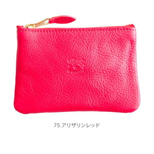 yK̔Xz[54232305342]IL BISONTE(Cr]e) 2023 SPRING SUMMER/RCp[X/~j|[`