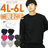 送料無料 スウェット 上下 セット セットアップ 裏起毛 起毛上下 起毛 無地 綿35% 4L 5L 6L 綿混 あった…