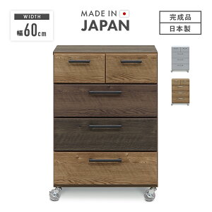 ^X `FXg [`FXg i 60cm 4i [ ؐ X  LX^[t Y {