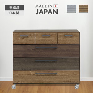 ^X `FXg [`FXg i 100cm 4i [ ؐ  LX^[t Y {