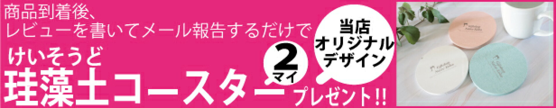 レビュー プレゼント