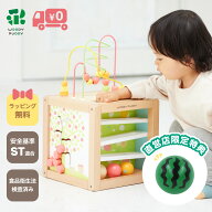 【特典付き】あそびたっぷり フルーツ アクティビティボックス【 アクティビティキューブ パズル ルーピ…