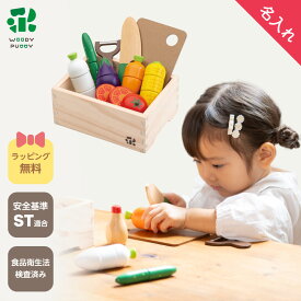 【名入れ無料】はじめてのおままごと サラダセット(特典付)【 ウッディプッディ 木のおもちゃ おままごとセット木製 おままごと 3歳 WOODYPUDDY おままごとキッチン 木のおままごと 木のままごと 食材 マグネット 子供 出産祝い 木製 磁石 知育玩具 幼児 プレゼント 】