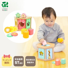 型はめパズル はじめてのつみき もぐもぐボックス 知育玩具 8ヶ月 【 知育 積み木 つみき 子ども 木製 WOODYPUDDY ウッディプッディ おもちゃ パズル 型はめ かたはめ ブロック ポットン落とし 天然木 木のおもちゃ 0歳 1歳 10か月 クリスマス プレゼント 】