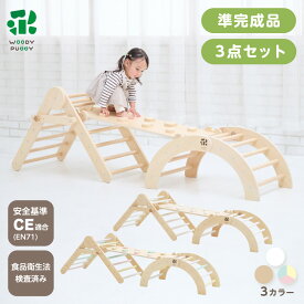 あそびたっぷり わくわくぼうけんジムセット【 ウッディプッディ 遊具 室内用 アスレチックジム ジャングルジム すべり台 クライミング 折りたたみ コンパクト 1歳 木製 木のおもちゃ 完成品 知育玩具 子供 プレゼント 】