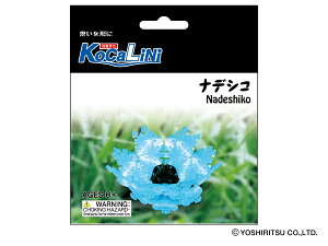 KoCaLiNi(RJj) ifVRym ߋ ubN q l w a lC Mtg LaQ L[ EbfBvbfB c NX}X v[g z