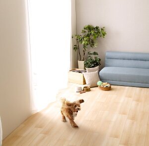 �y�b�g�}�b�g ����~�� �h�� �@���� ���� �唻 �r�j�[�� �􂦂� �N�b�V���� �L�� �� ���^�� �V�� �L �h�L �؂�� �z�� ���킢�� ���� ���� 180×270 �傫�� �������� �傫���T�C�Y ��� �J�[�y