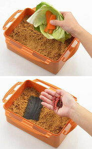 Еe Ђe |bg rlK[ sNX|bg L` yr Ђ|bg y ۑe ^bp    킢    􂢂₷  Wbvb