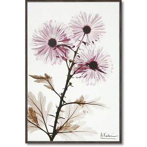 インテリア 壁掛け 壁絵 アートパネル アートボード 絵画 アート 絵 ウォールデコレーション 壁飾り ディスプレイ アートポスター