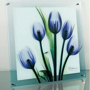 A[g |X^[ CeA Ǌ| ǊG A[gpl A[g{[h G A[g G EH[fR[V Ǐ fBXvC A[g|X^[