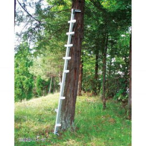 ͂ r ݑ Xebv   ͂ q Xebv   H  RpNg y y X  ^ i Ki