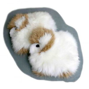 V[gNbV `FApbh `FA}bg zc `FANbV ֎q q _CjO`FA ǂ LbY    V[g  p 傫 唻 k  2 32×40 zCg