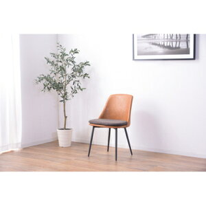 _CjO`FA ֎q  k g y  _ JtF PC e[N ݑ AeB[N wK `FA  uE  50 s55.5 79.5 ʍ47