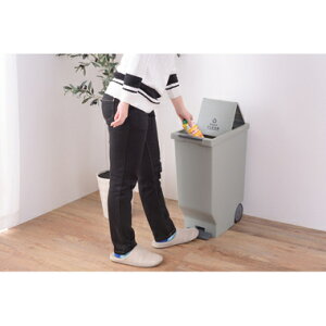 S~  ݔ _Xg{bNX X c^ ItBX gC Lb` rO JtF O[   26 s44.5 58