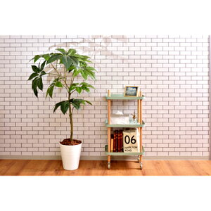 h[S Lb`S ʏ X ׂ ^   [ bN h[ ^I Tj^[ I e  Eߏ    RpNg ȃXy[X O[ 