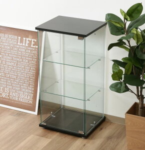 RNVP[X Lrlbg KX V[P[X AeB[N ^ tBMA fBXvC I fBXvCP[X RNVbN ubN 43 s37 86