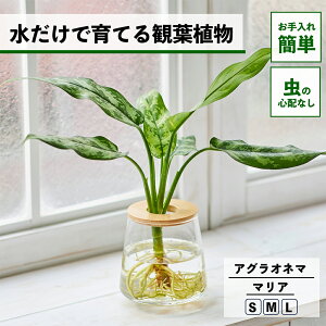 y2_ȏw1,000~OFFz ϗtA k͔| AOIl} }A ňĂ nChJ`[ ygȂ CeA ϗtA S  Ă₷ ͔| A ~jϗtA